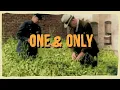 Download Lagu L'ENTOURLOOP - One \u0026 Only Ft. Charlie P (Official Video)