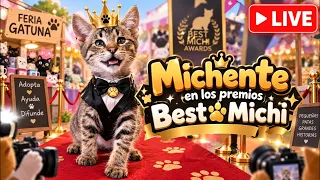 Premios best michi (vamos michente) - michi house