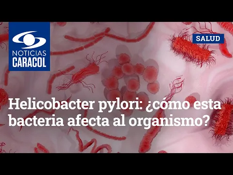 Download MP3 Helicobacter pylori: ¿cómo esta bacteria afecta al organismo?