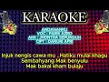 Lagu KARAOKE - ANDANAN KU - Cipt : Danuri Apri - Arr : Jhontra Sepunduh - Di Populerkan : Paris Azro