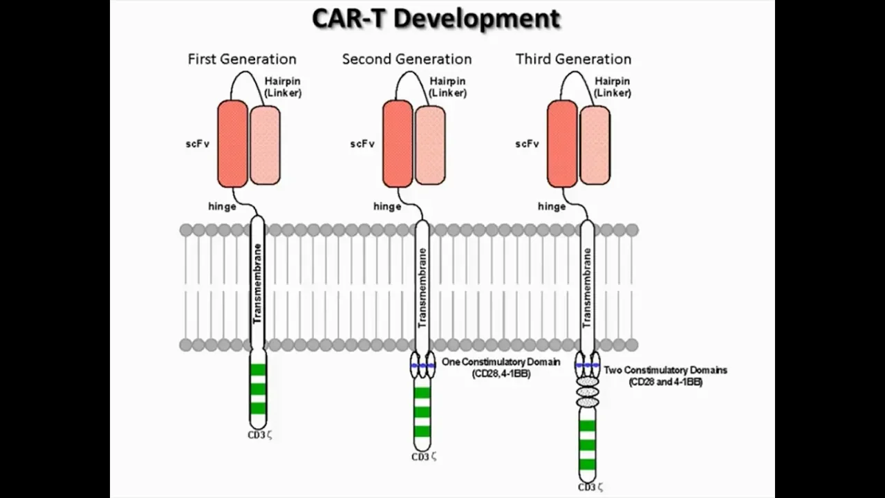 The Complex Pharmacology of T-Cell CARs