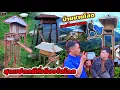 Download Lagu ประเพณีสุดแปลกบ่าวโสดสร้างกระต๊อบน้อยรอสาวมาหลับนอนด้วย ยามค่ำคืน 7 กรกฎาคม ค.ศ. 2025