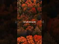 Download Lagu Clean Bandit - Tick Tock (ft. Mabel \u0026 24kGoldn) | Lyrics