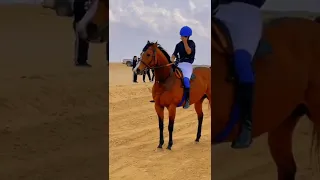 زعامة ما هاب الموت 