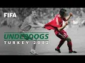 Turkey s Journey To Bronze 2002 FIFA World Cup
