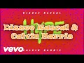 Dizzee Rascal & Calvin Harris - Hype (Lyrics)