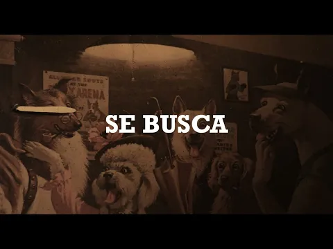 Se Busca / Wanted