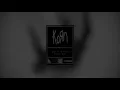 Korn - You'll Never Find Me (Official Visualizer)