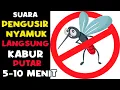 Download Lagu SUARA PENGUSIR NYAMUK PALING AMPUH