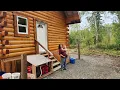 Download Lagu Off-Grid \u0026 Solo di Pedesaan Alaska | Kapan Levi Akan Pulang?