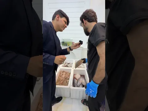 الاسماك البحرية سمج الفاو يحبو جماعة الحديد بسبب !!