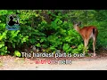 ONE HELLO - Randy Crawford (Karaoke Version)