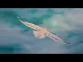 My land is kenya ( with lyrics ) 我的家鄉是肯尼亞 ( 中文字幕 ) / Roger Whittaker 羅傑 惠特尼