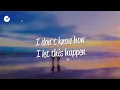 Shaggy - It Wasn't Me (Lyrics) ft. Ricardo RikRok Ducent