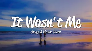 Shaggy It Wasn T Me Lyrics Ft Ricardo RikRok Ducent 