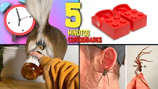 30 COISAS QUE VOCÊ NÃO SABIA EM 5 MINUTOS!!! 😱⚡[262]