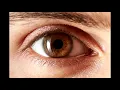 Download Lagu Virallord - brown eyes.