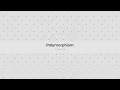 18 Polymorphism Arabic