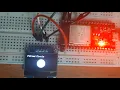 ESP32 OLED Display Tutorial Complete Guide with Wiring Code Demo SSD1306 I2C