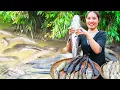Download Lagu How to Block Water and Catch Giant Catfish, Carp to Sell at Market - Grill Fish for My Kids to Eat
