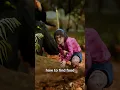 Download Lagu This is a miracle 🤗#shorts #monkey #trending