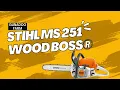 STIHL MS 251 Wood Boss Chainsaw Review What a beast