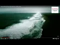 Michael Scherer Live Stream