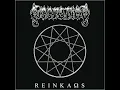 Reinkaos