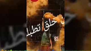 هتعيشوا علشان  بتجندلوا   شواحه        دندنها