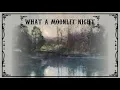 Download Lagu What a Moonlit Night - Mykola Lysenko - Eugene Kustovskiy (fingerstyle guitar interpretation)