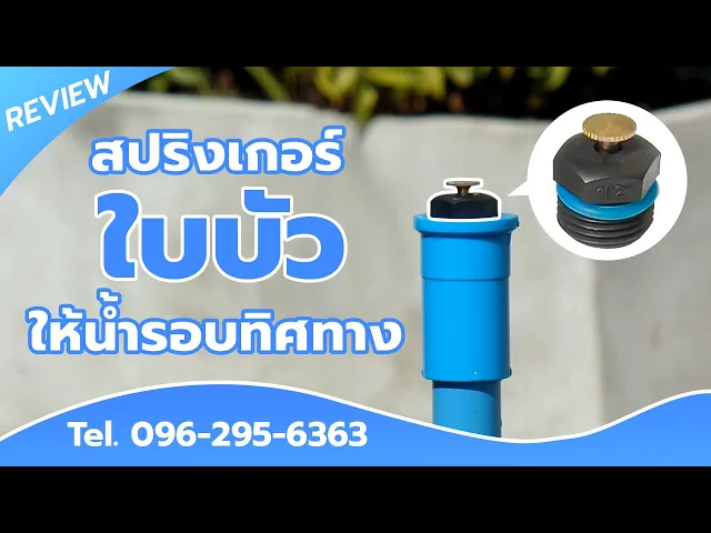 สปริงเกอร์ใบบัว เกลียวนอกขนาด 1/2 นิ้ว แพ็ค 10 ตัว