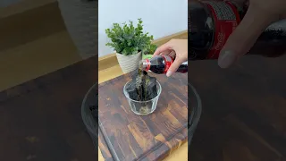 Mezcla Coca Cola con Carbón y no vas a creer lo que pasa. #trucos #limpieza #recetasfaciles