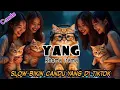 Lagu DJ YANG RHOMA IRAMA SLOW BIKIN CANDU YANG DI TIKTOK BY Yanz Tube