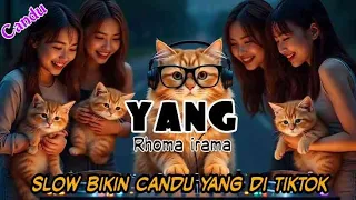 dj yang rhoma irama slow bikin candu yang di tiktok by yanz tube