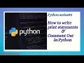 How to write print statements and comment out in Python