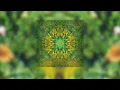 The Orb - Perpetual Dawn (2024 Version)