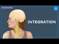 What is integration of the nervous system - Quick Physiology Kenhub