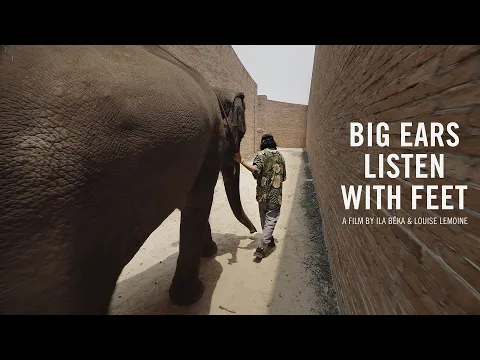 BIG EARS LISTEN WITH FEET - Trailer - New Film!
