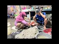 Rejeki melimpah pasang perangkap curtir udang dari siang nyampe malem!