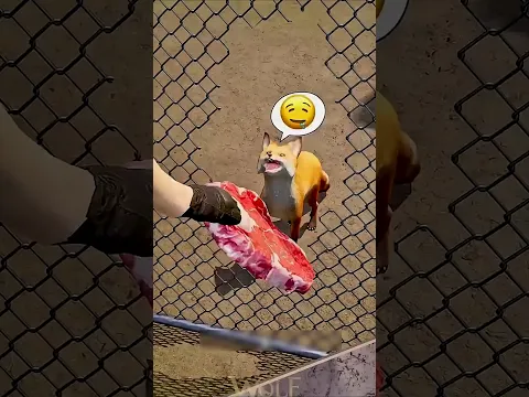 أكل الفلفل الحار وتحول إلى ذئب تنين!🐺🔥🌶️