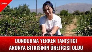 Dondurma yerken tanıştığı aronya bitkisinin üreticisi oldu