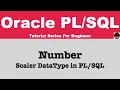 Number data type in oracle Scaler Data Type