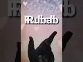Rubab Name //Whatsapp Status Video