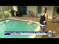 Boca Raton family finds 8-foot alligator in pool