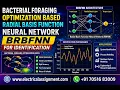 Bacterial foraging optimization based Radial Basis Function Neural Network BRBFNN for identification