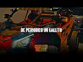 Legado 7, Alfredo Olivas - De Periodico un Gallito, Laberinto  - MIX Exitos 2024