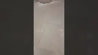 شاهد مسجد الجزائر الاعظم ثالث اكبر مسجد في العالم 2019 