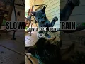 Download Lagu SLOWED CRAZY TRAIN CATS #catshorts #catvideos #playingcats #kittens #cats #crazycats #catcrazy #fun