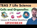 TEAS 7 Life Science Cells and Organelles Livestream