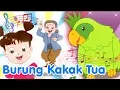 Download Lagu BURUNG KAKAK TUA | Diva Bernyanyi | Lagu Anak Channel